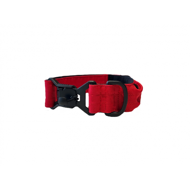 Collier K9 - Magnétique en Cordura