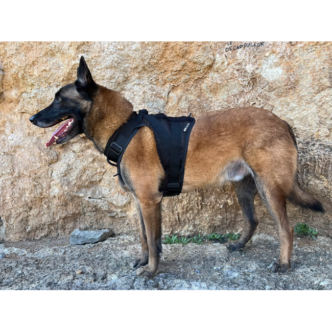 Harnais K9 - Aéro