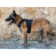 Harnais K9 - Aéro
