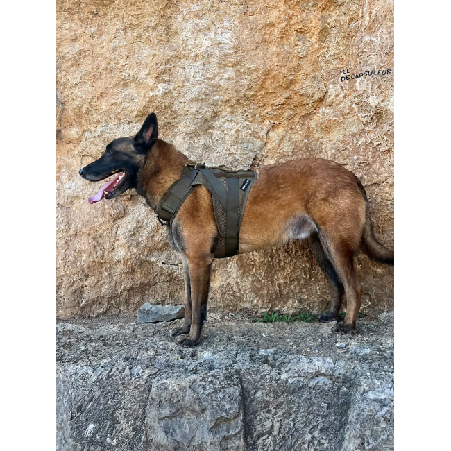 Harnais K9 - Aéro