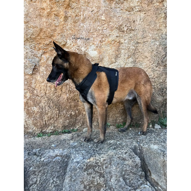 Harnais K9 - Essentiel