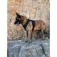 Harnais K9 - Essentiel